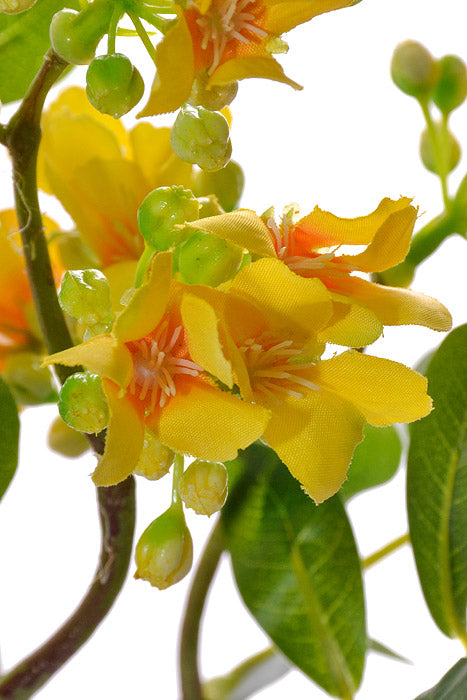 22" Stephanotis Spray Yellow