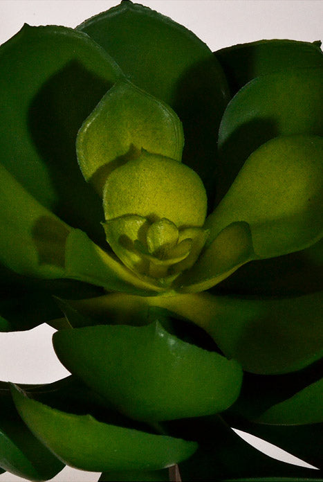 5" X 6" Artificial Real Touch Echeveria Pick Green