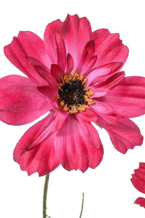 32" Silk Cosmos Spray Beauty