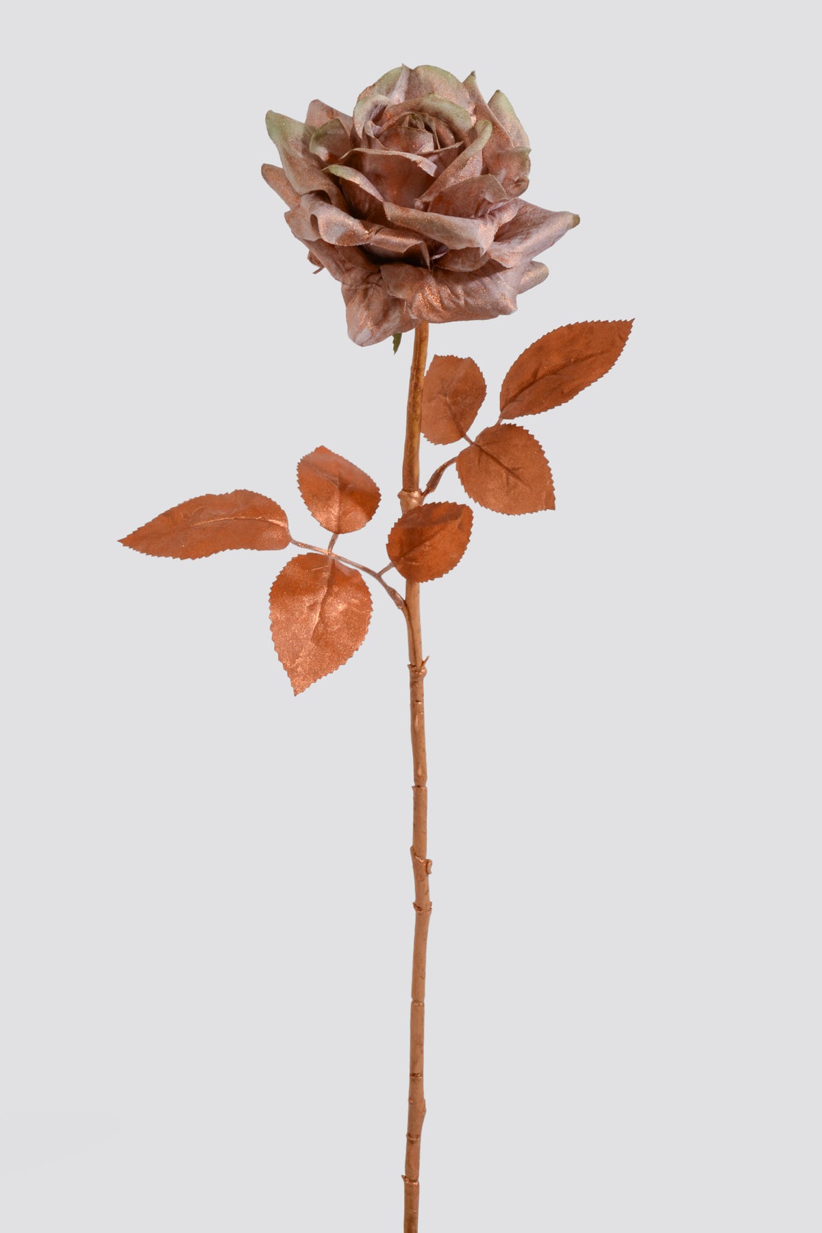 23" Single Rose Spray Copper