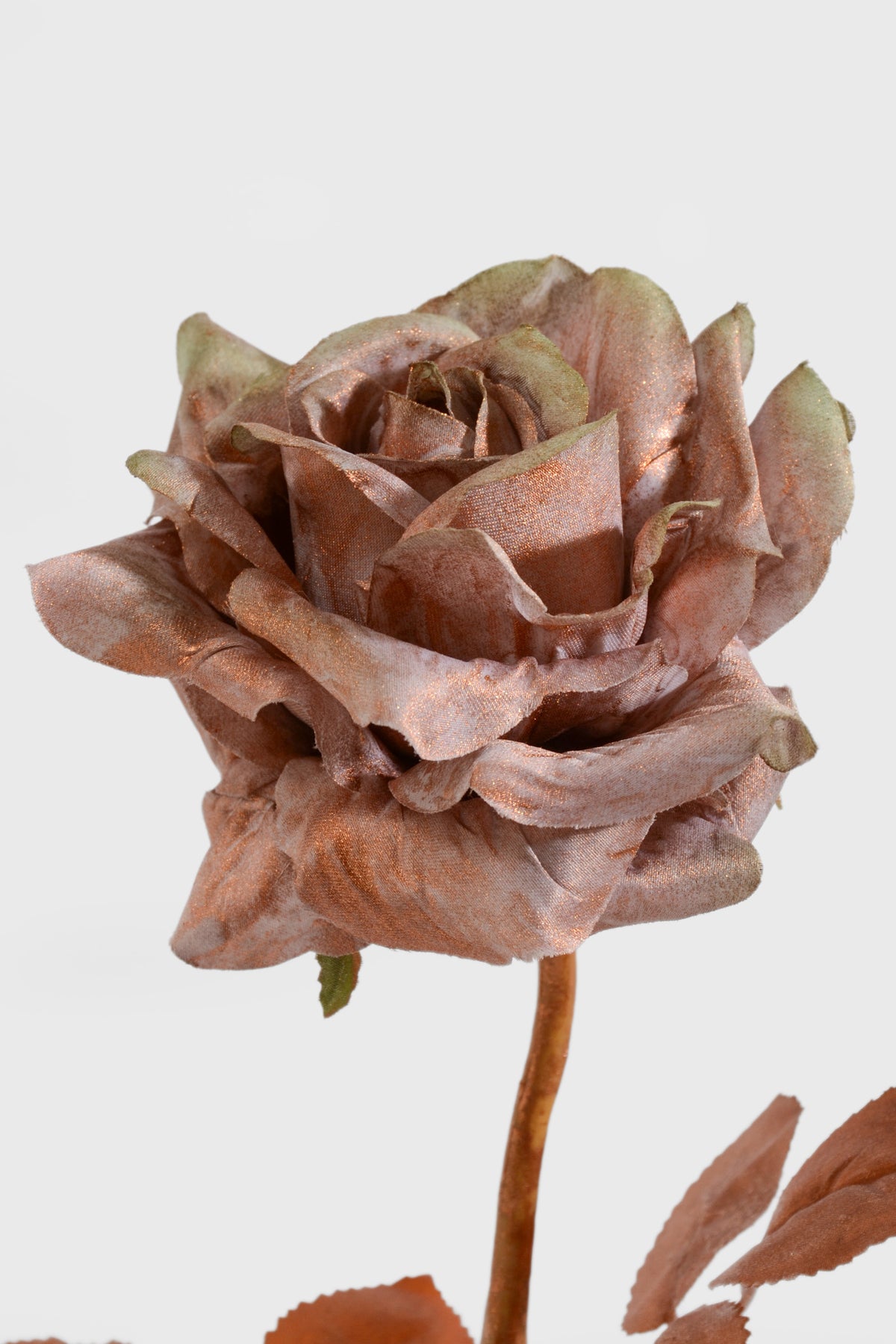 23" Single Rose Spray Copper