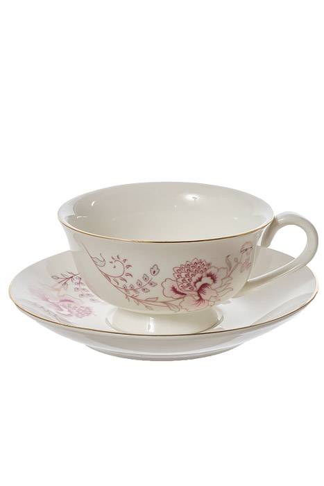 Ceramic Cup/saucer Set/6