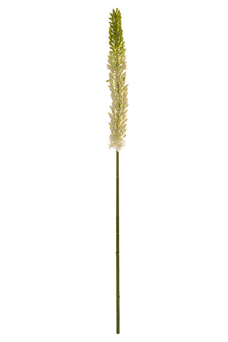33&quot; Foxtail Lily Spray White/Green