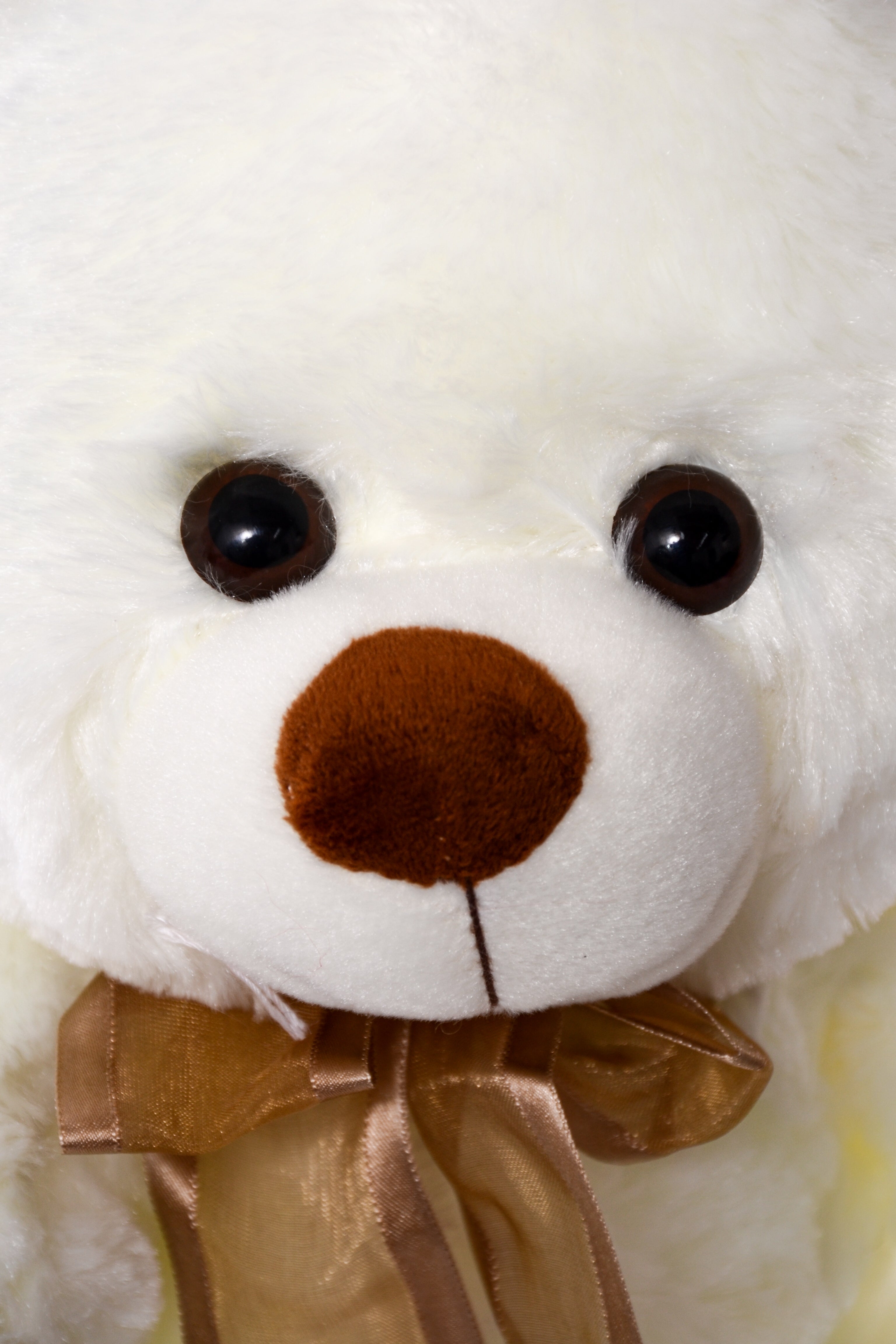 12" Bear With Bow Ivory
