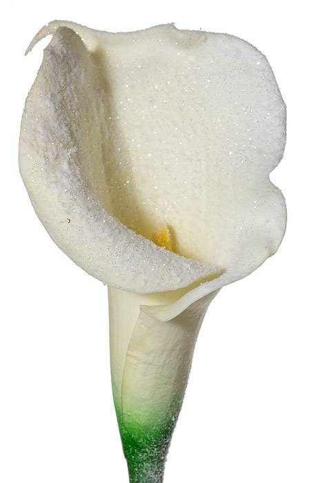34" Artificial Snowed Calla Lily Spray White/Snow