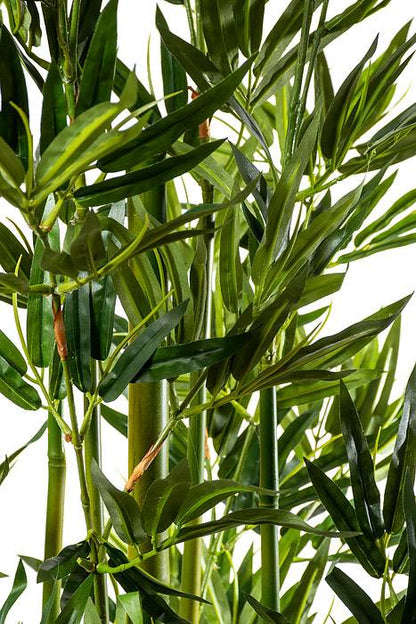 6ft Mini Bamboo Tree In Pot Green