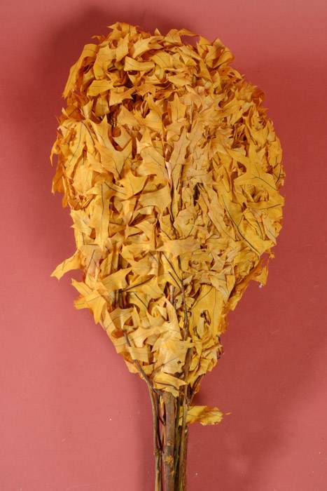 Transparent Oak Leaves 1lb Yellow