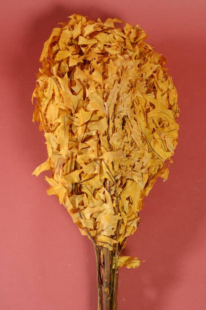 Transparent Oak Leaves 1lb Yellow