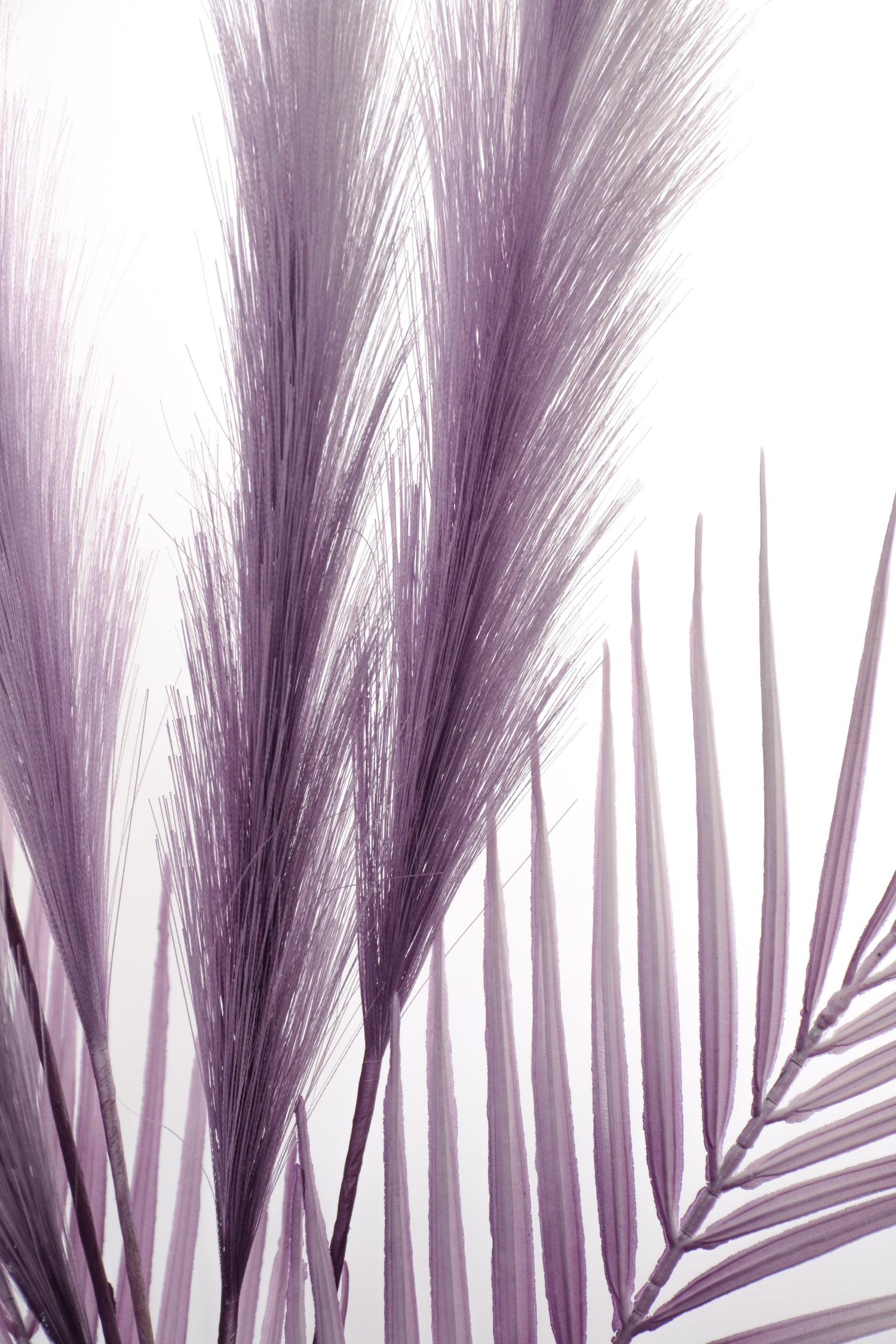 28" Pampas Grass Spray Eggplant