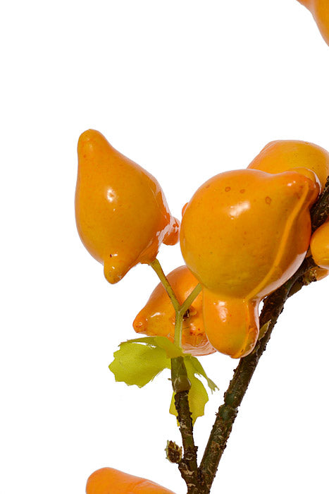 30" Ginseng Fruit Spray Yellow