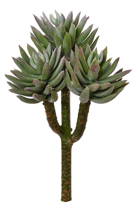 8" Mini Agave Green Frosted