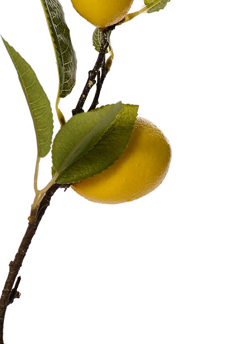 36" Lemon Spray With Leaves Yellow/Green