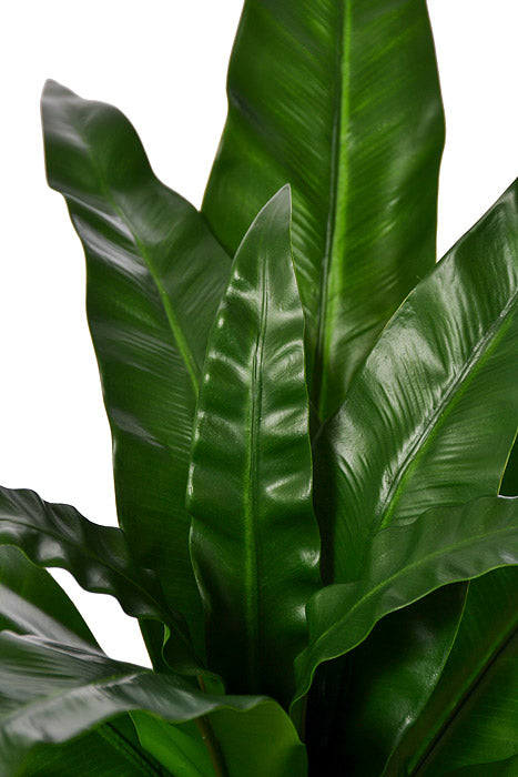 24&quot; Fern Bush Green