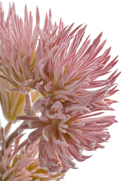 19" Thistle Spray Lavender