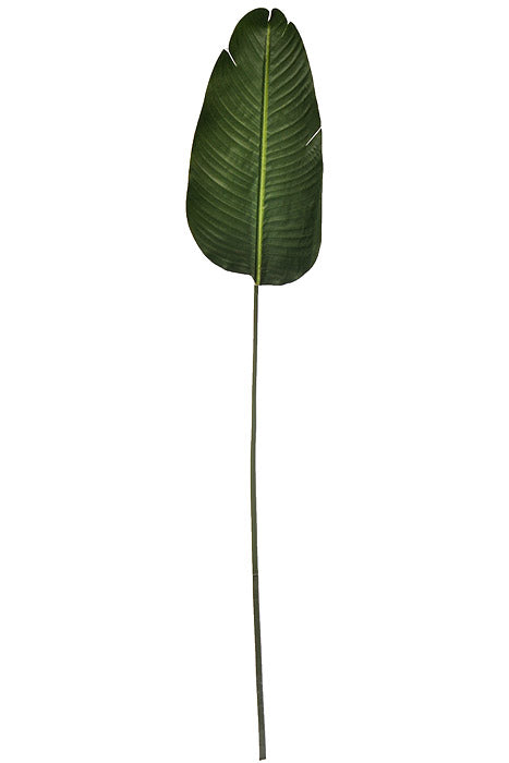 59" Banana Leaf Stem Green