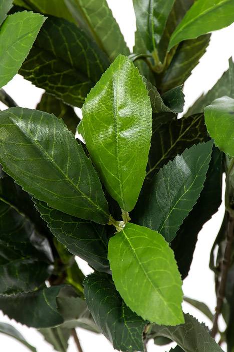 16" Laurel Leaf Bush Green
