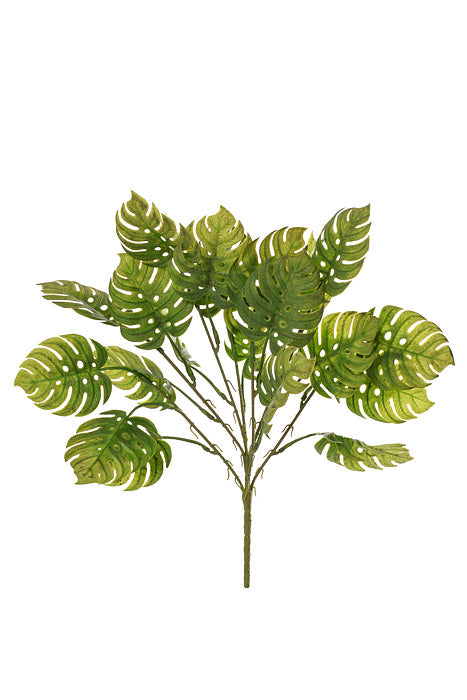 15.75&quot; Monstera Bush Green