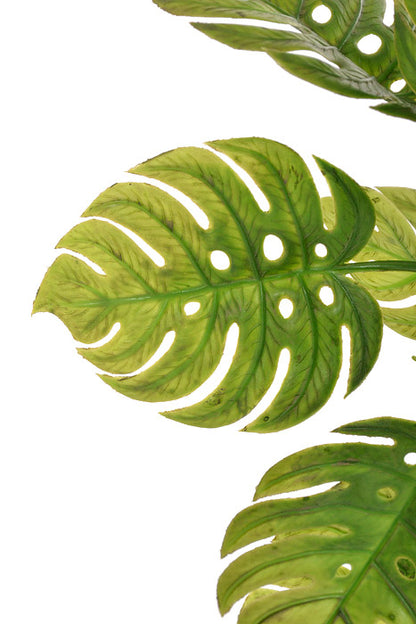 15.75&quot; Monstera Bush Green