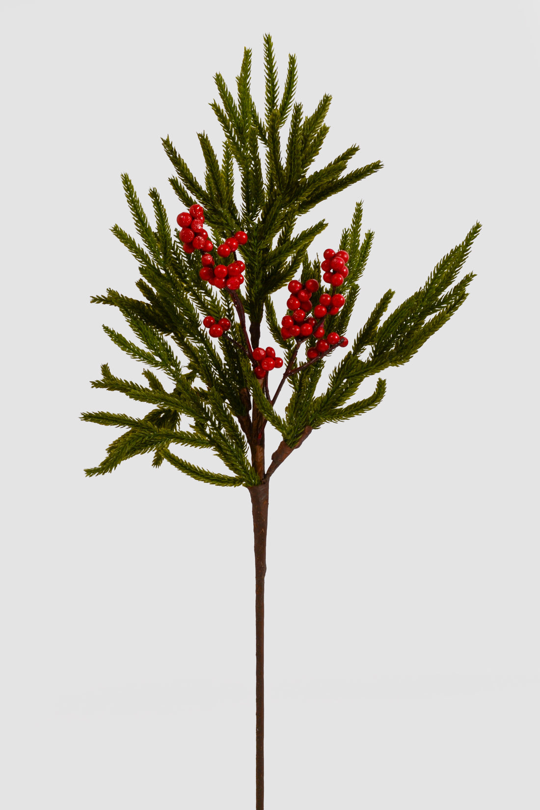 24" Real Touch Mini Norfolk Pine W/Berry Spray Red/Green