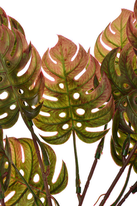 15.75&quot; Monstera Bush Green/Burgundy