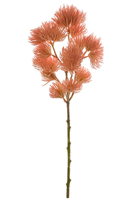 19" Thistle Spray Peach