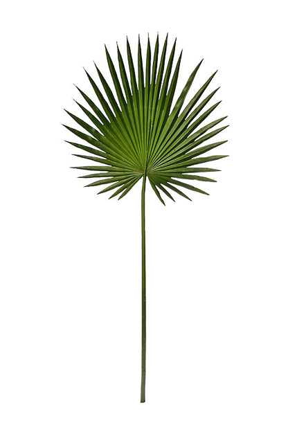 44" Fan Palm Leaf Green