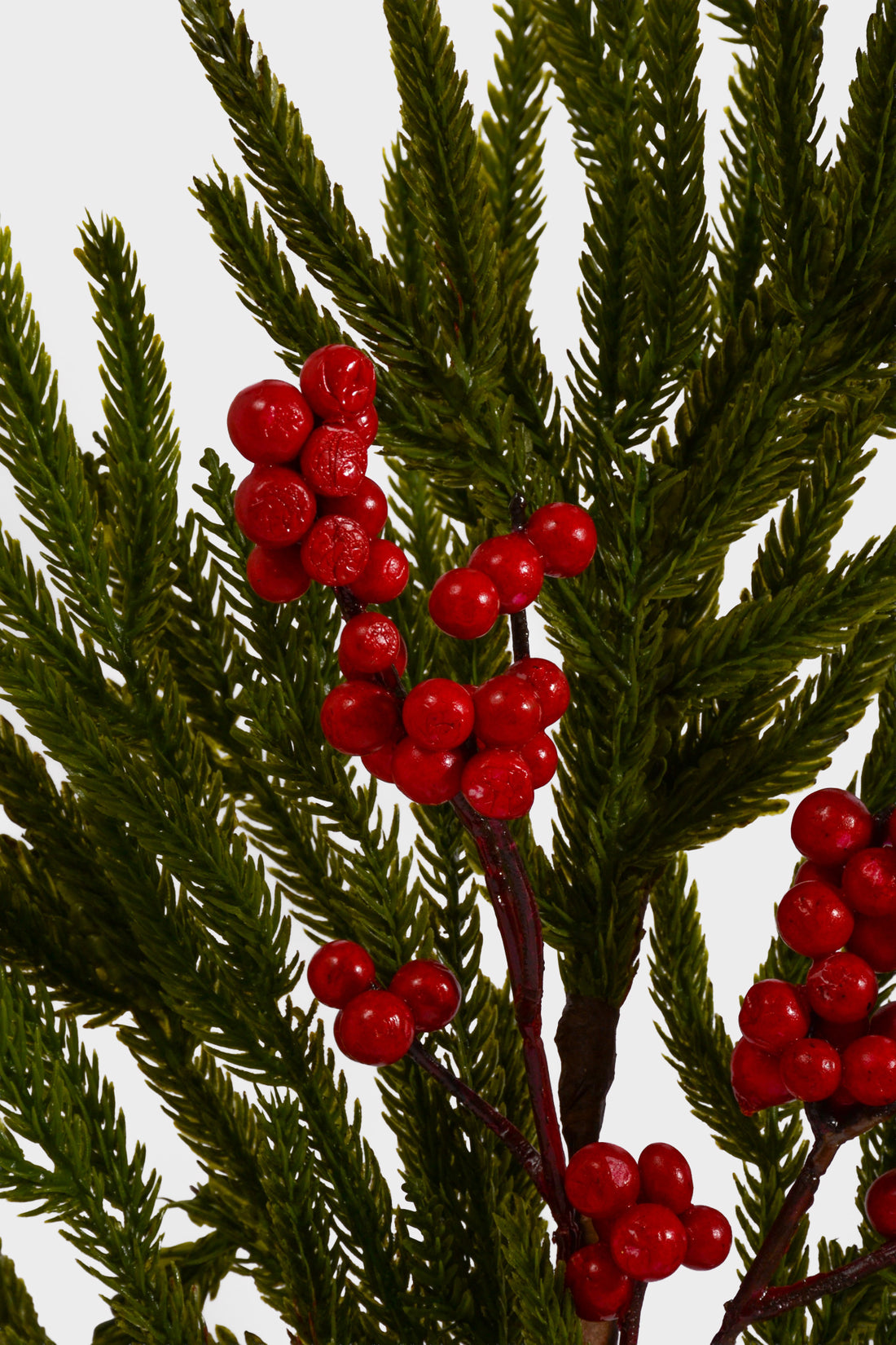 24" Real Touch Mini Norfolk Pine W/Berry Spray Red/Green