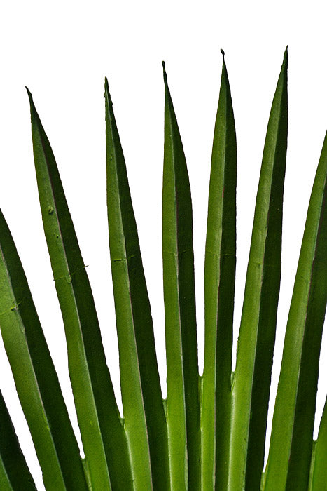 44" Fan Palm Leaf Green
