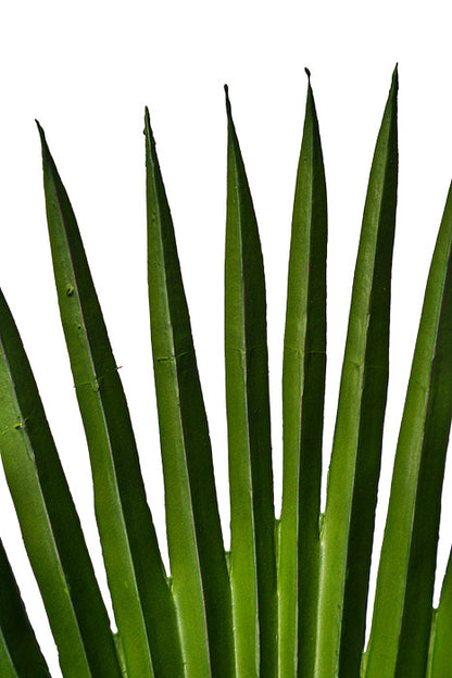44" Fan Palm Leaf Green