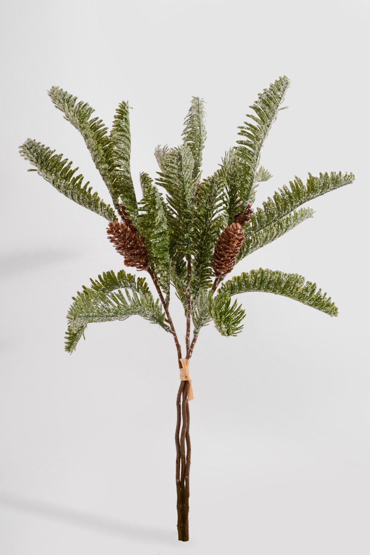19" Snow Fern W/pinecone Bundle Green