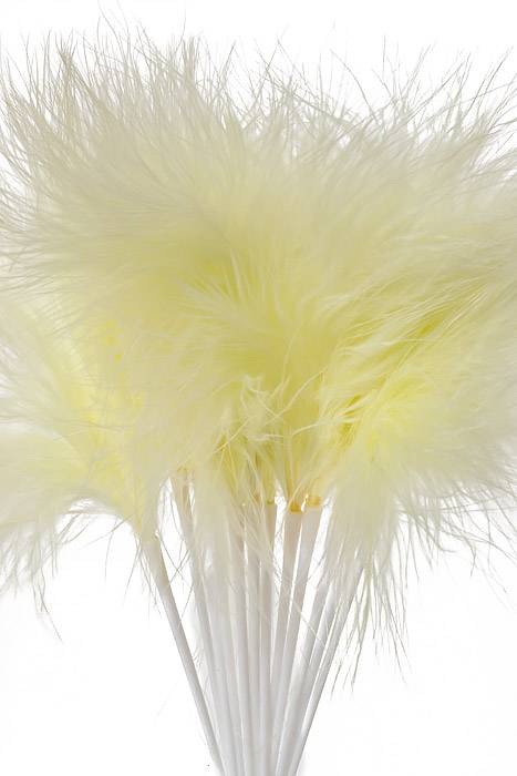 7" Feather Picks Ivory Pkg/12