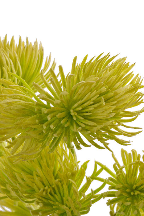 19" Thistle Spray Green