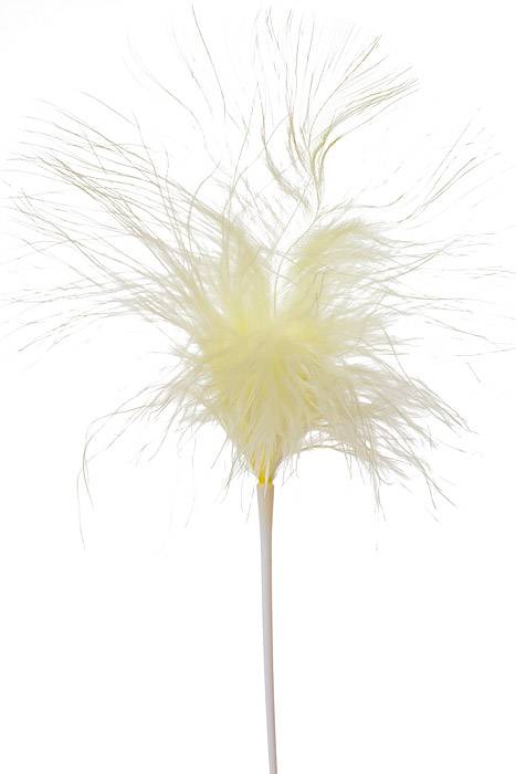 7" Feather Picks Ivory Pkg/12