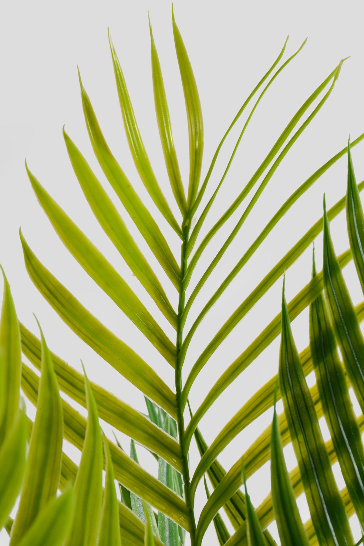 51" Artificial Fern Spray Green