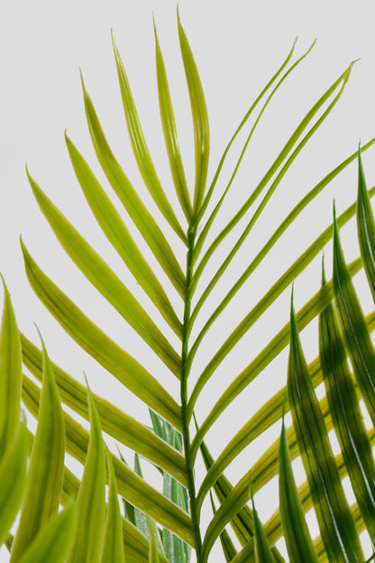 51" Artificial Fern Spray Green