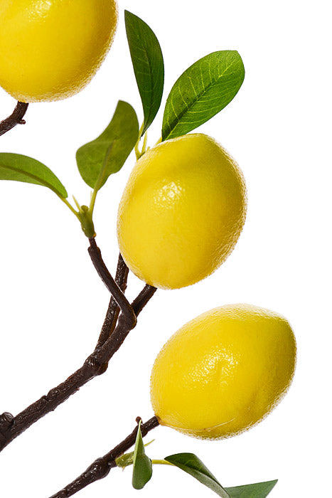 24" Lemon Spray With Leaves Yellow/Green