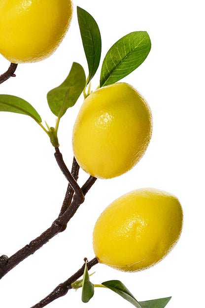 24" Lemon Spray With Leaves Yellow/Green