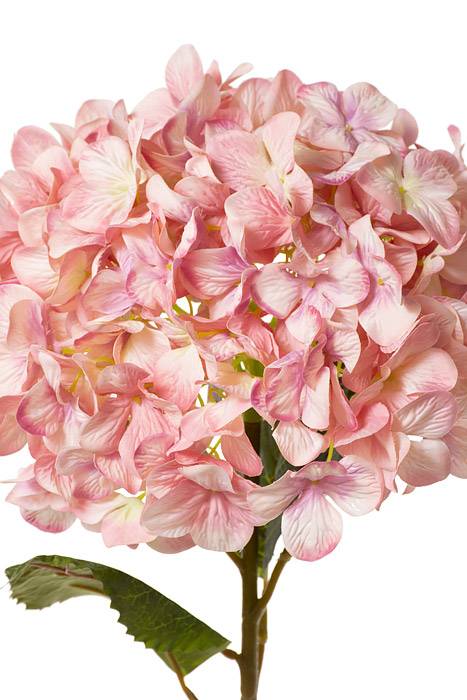 44" Single Giant Silk Hydrangea (Pink)
