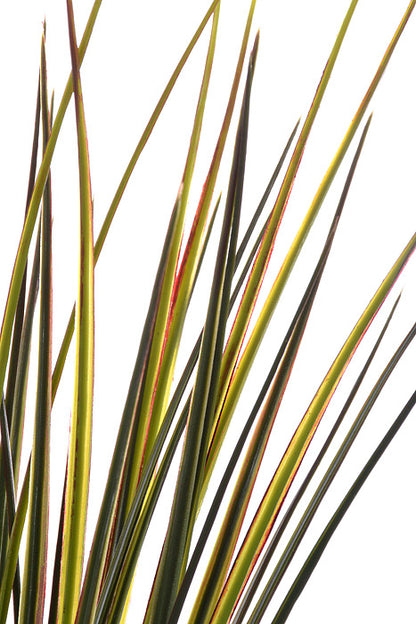 21" Grass Bush Green/Red