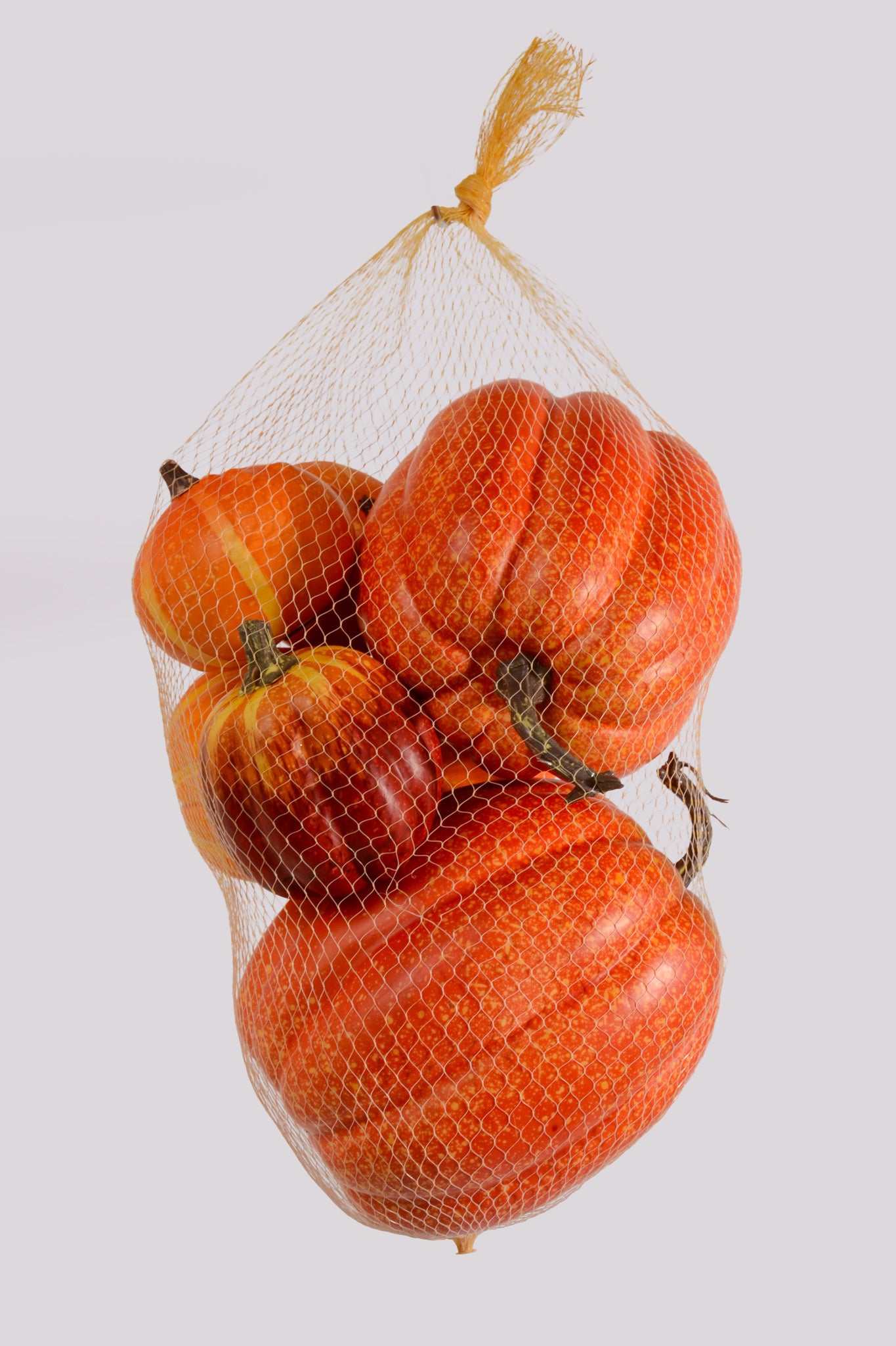 Mixed Pumpkin In Net Orange Pkg/7