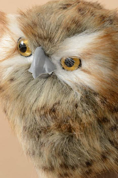 6.5" Standing Speckled Hoot Owl