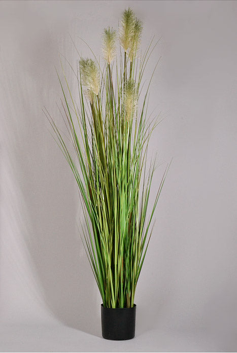 60" Artificial Pampas Grass In Pot Two Tone Green