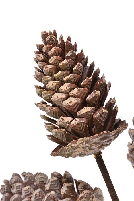 32" Pine Cone W/Beige Tip Brown
