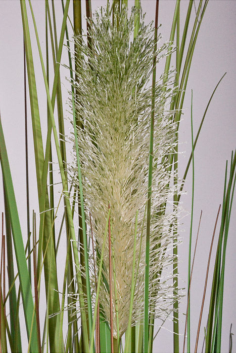 60" Artificial Pampas Grass In Pot Two Tone Green