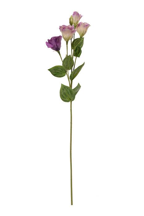30&quot; Silk Lisianthus Spray Purple