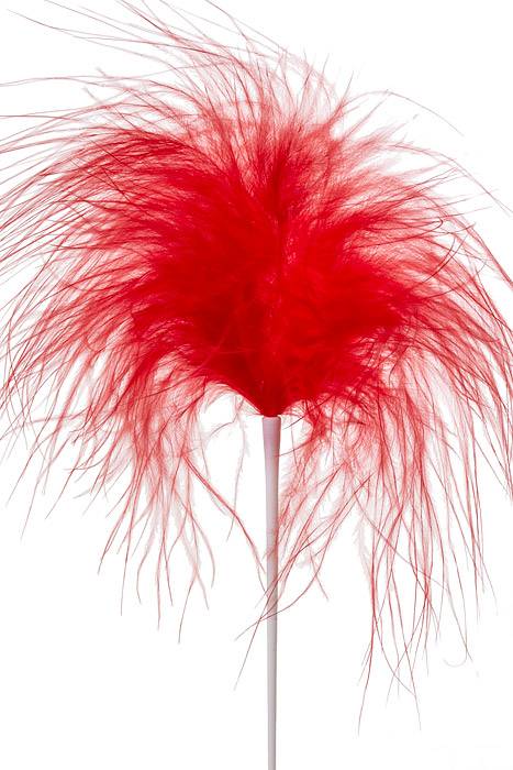 7" Feather Picks Red Pkg/12