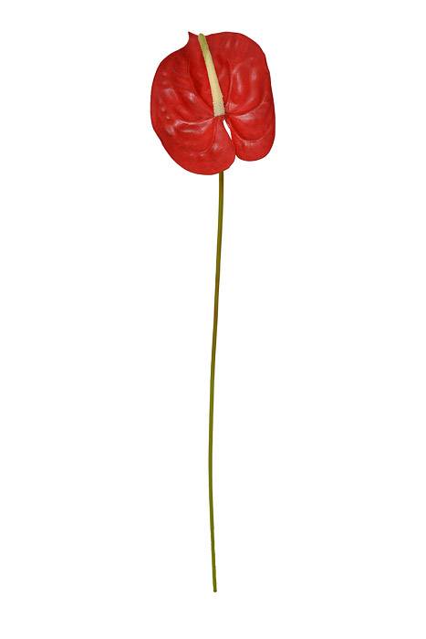 24" Artificial Anthurium Spray Red