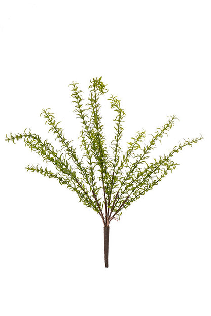 17" Thyme Bush Green