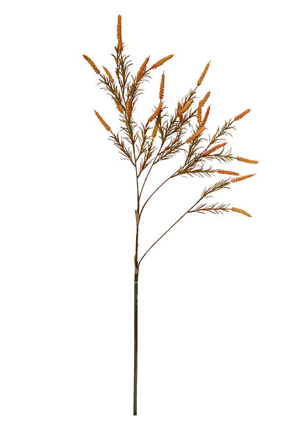 38" Setaria Bush Light Orange/Green