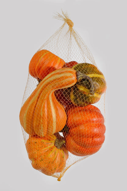 Mixed Pumpkin In Net Orange Pkg/6